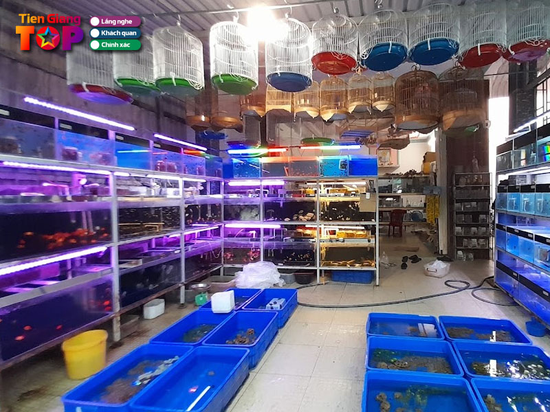 Ca-canh-chau-thuong-cai-lay-tiengiangtoplist