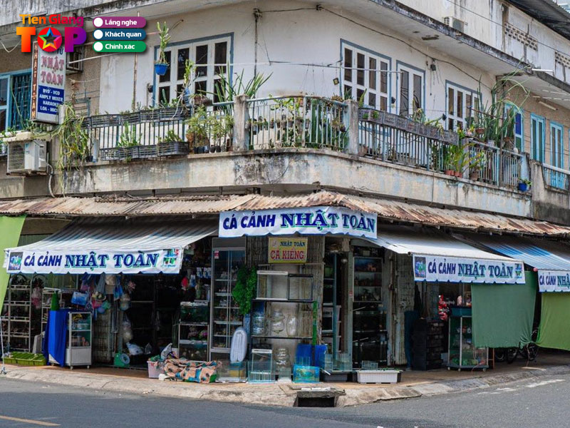 Ca-canh-nhat-toan-tiengiangtoplist