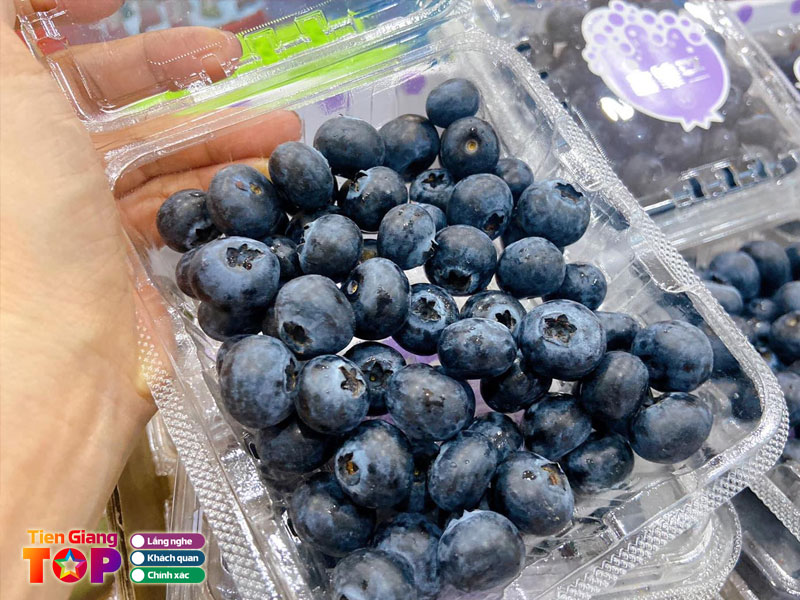 Dalatshop-tiengiangtoplist