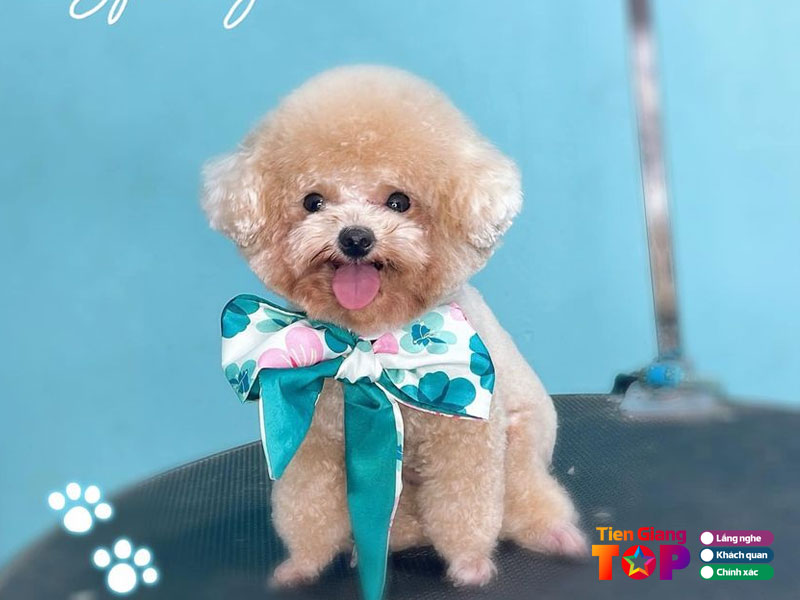 Nau-pet-shop-tiengiangtoplist