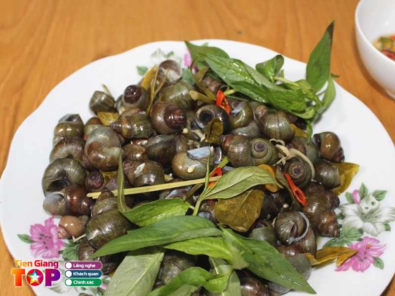 Oc-gao-tan-phong-tiengiangtoplist