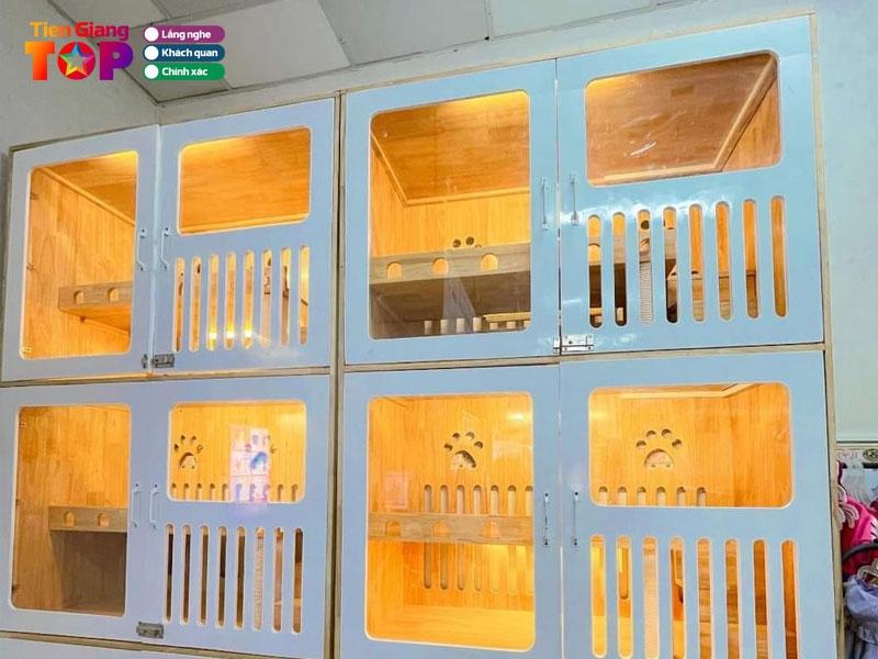 Tiin-tiin-pet-shop-my-tho-tiengiangtoplist