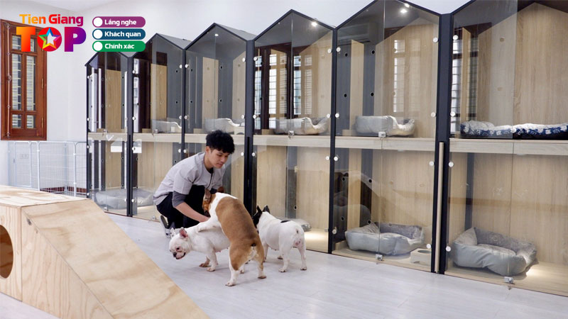 Top-5-dich-vu-khach-san-thu-cung-tien-giang-chat-luong-nhat-tiengiangtoplist