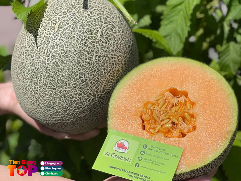 Vk-garden-tiengiangtoplist