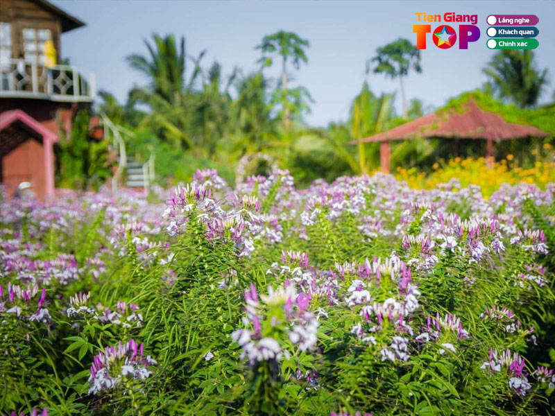 Bach-nhat-hoa-vien-tiengiangtoplist