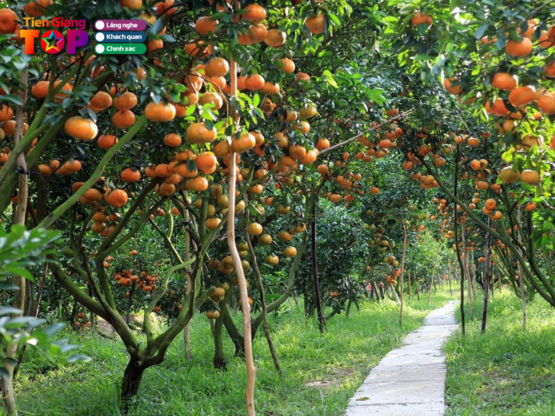 Miet-vuon-cai-be-tiengiangtoplist