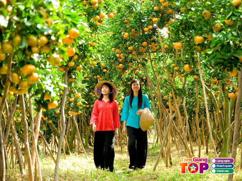 Tong-quan-ve-vuon-trai-cay-vinh-kim-tiengiangtoplist