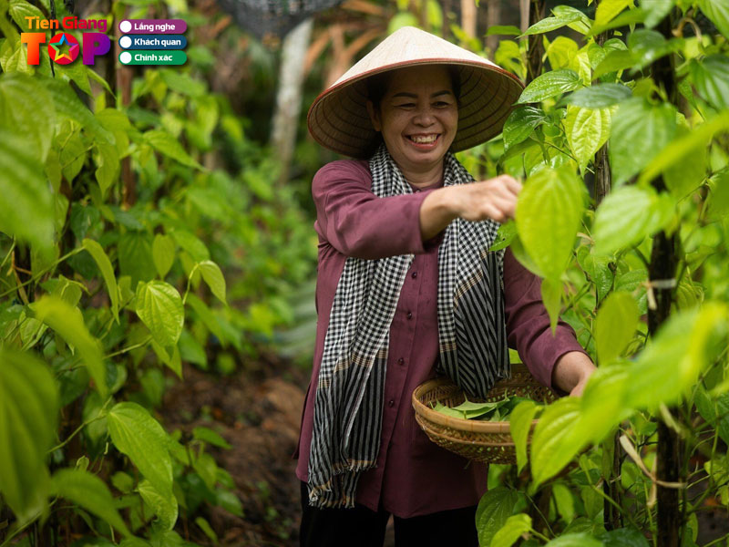 Ve-voi-tien-giang-tiengiangtoplist