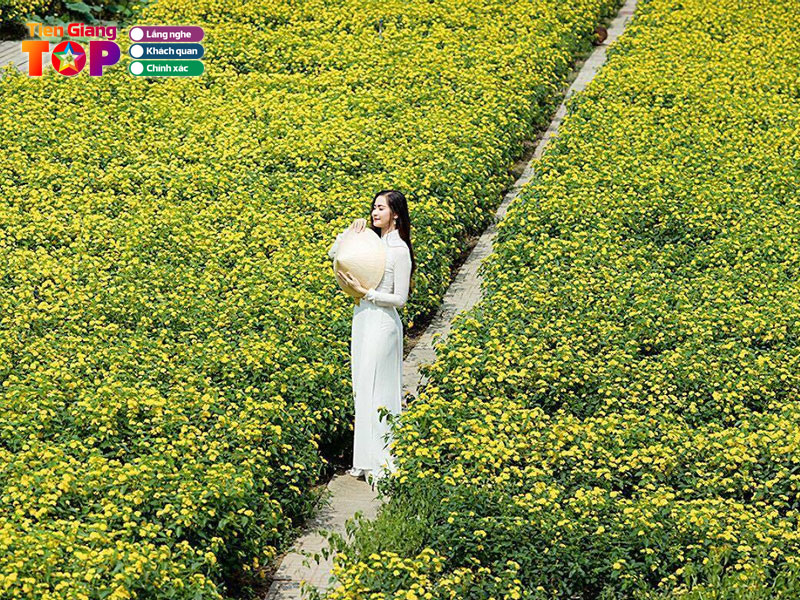 Vuon-hoa-man-dinh-hong-tiengiangtoplist