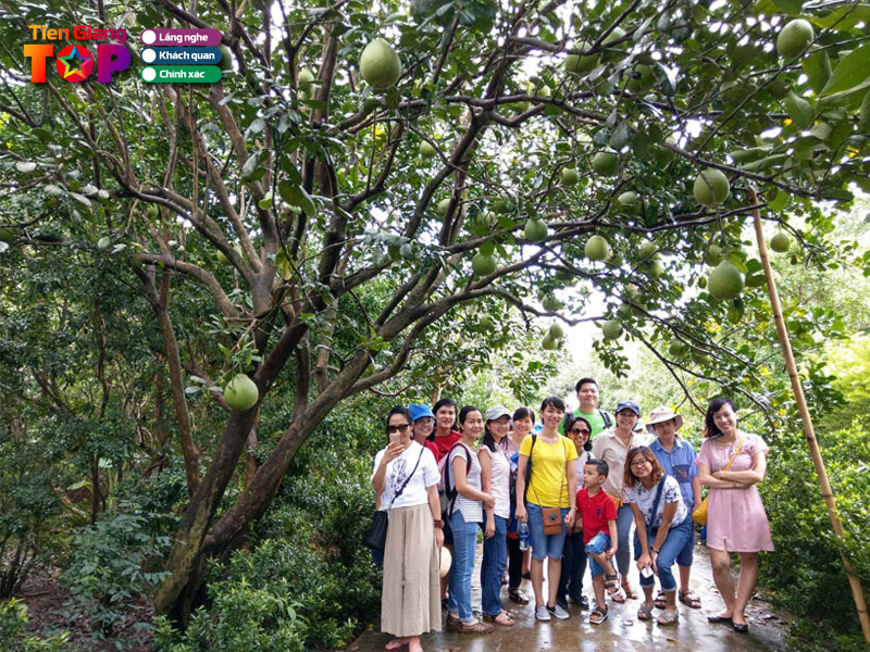 Vuon-trai-cay-vinh-kim-tiengiangtoplist