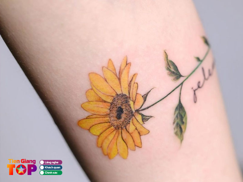 Tiem-xam-nha-mich-tiengiangtoplist