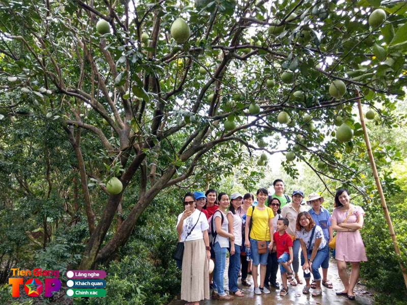 Ve-dep-tru-phu-cua-vuon-trai-cay-vinh-kim-tien-giang-tiengiangtoplist