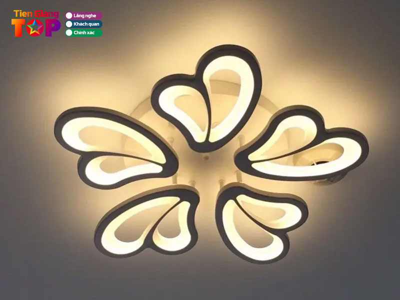 Cua-hang-den-trang-tri-cao-cap-gia-bao-tiengiangtoplist