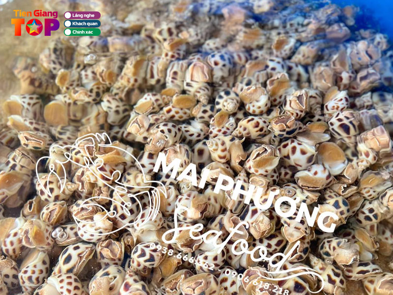 Hai-san-mai-phuong-tiengiangtoplist