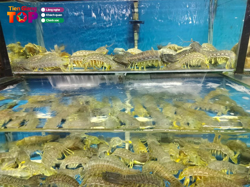 Vua-hai-san-my-khe-tiengiangtoplist