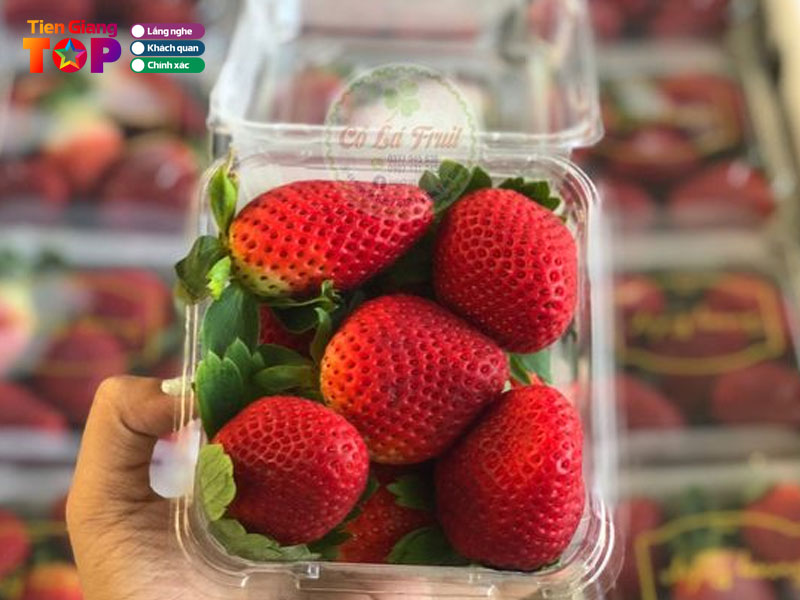 Co-la-shop-trai-cay-nhap-khau-tiengiangtoplist