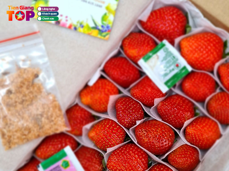 Hanashop-hang-xach-tay-tiengiangtoplist