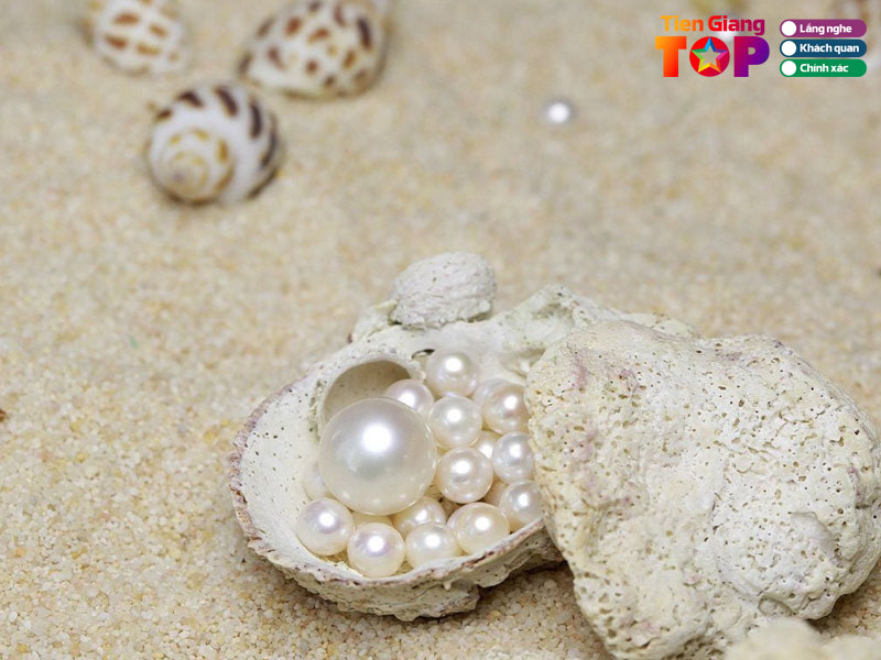 Nhung-tieu-chi-lua-chon-dia-chi-mua-ngoc-trai-1-tiengiangtoplist