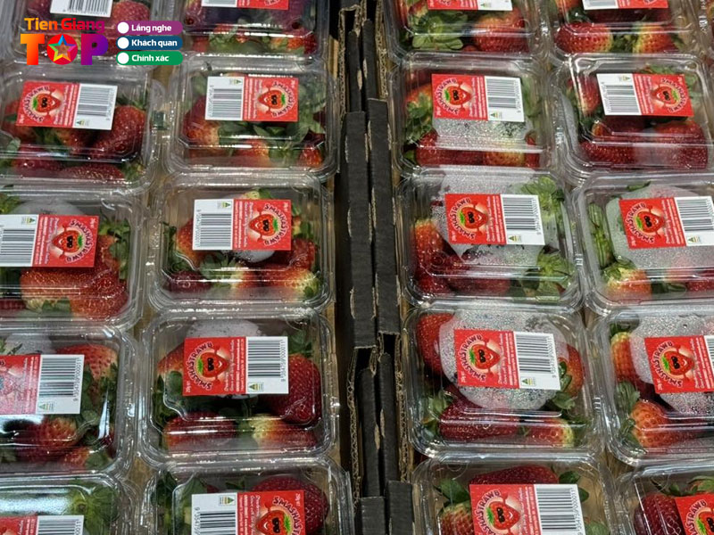 Vk-garden-rau-qua-tuoi-trai-cay-nhap-khau-tiengiangtoplist