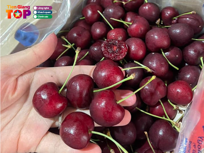 Dalatshop-tiengiangtoplist