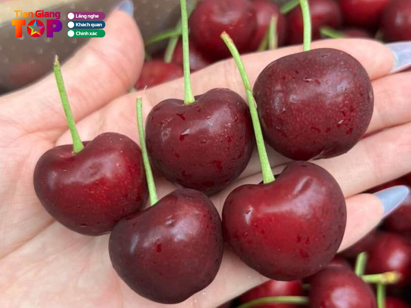 Go-tien-giang-tiengiangtoplist