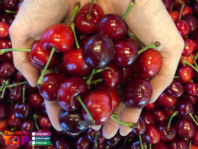 Nhung-tieu-chi-lua-chon-dia-chi-mua-cherry-tiengiangtoplist