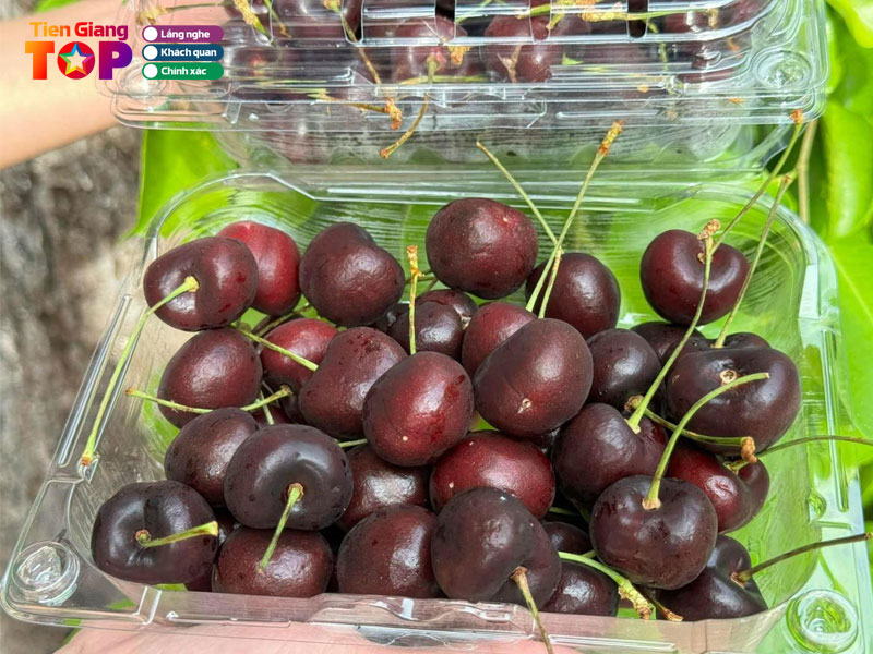 Vk-garden-rau-qua-tuoi-trai-cay-nhap-khau-tiengiangtoplist