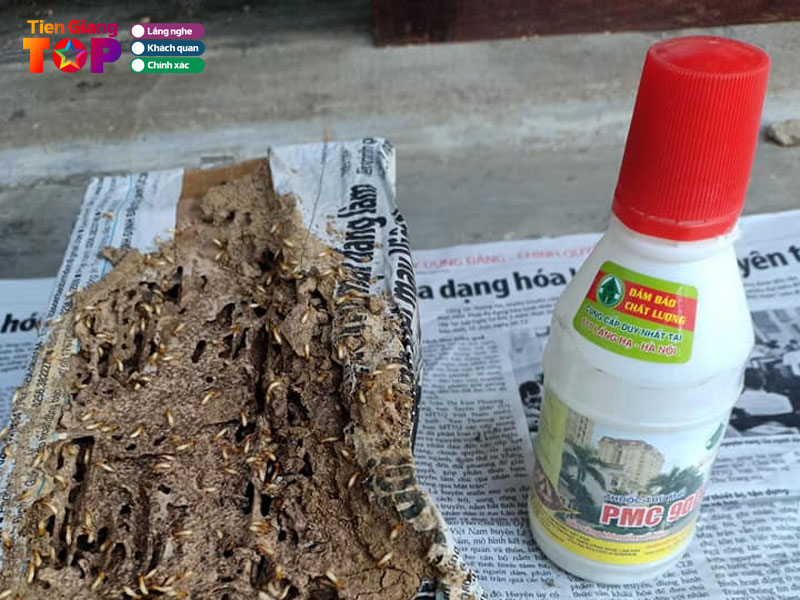 Diet-moi-tung-my-tiengiangtoplist