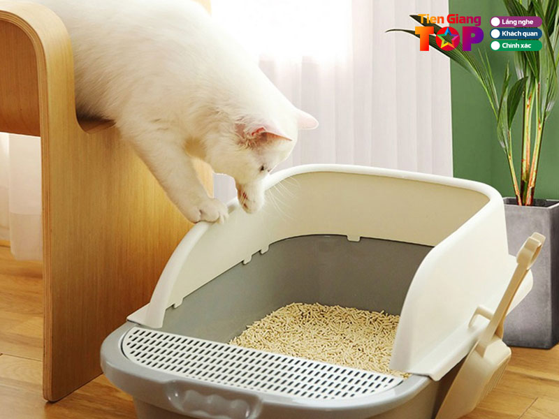 Num-pet-shop-tiengiangtoplist