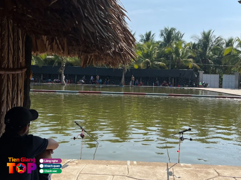 Ho-cau-ca-giai-tri-hoa-mai-tiengiangtoplist