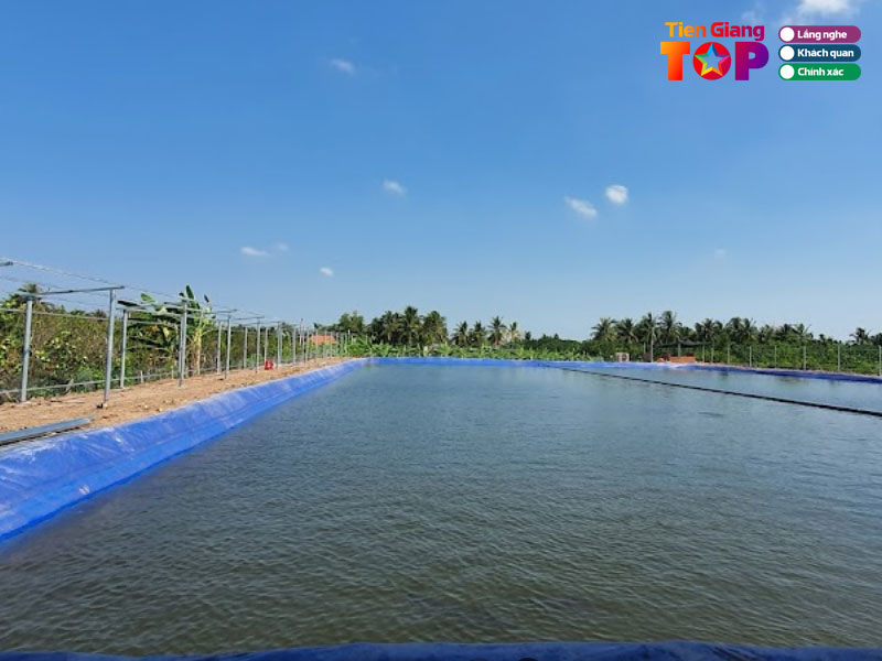 Ho-cau-ca-giai-tri-nhut-thien-tiengiangtoplist