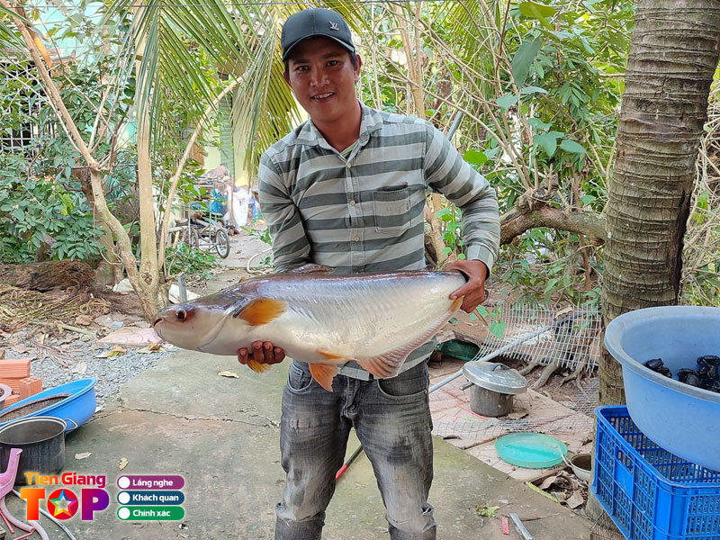 Ho-cau-ca-giai-tri-que-dua-tiengiangtoplist