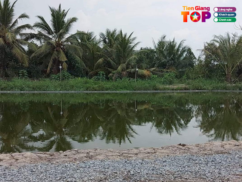 Ho-cau-ca-minh-hoai-tiengiangtoplist