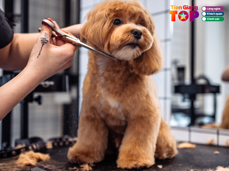 Kinh-nghiem-chon-tiem-cat-tia-long-cho-uy-tin-1-tiengiangtoplist