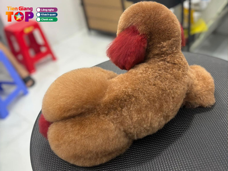 Muói-s-grooming-tiengiangtoplist