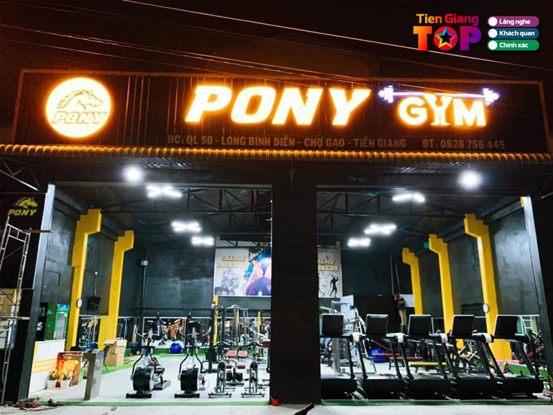 Pony-gym-boxing-tiengiangtoplist