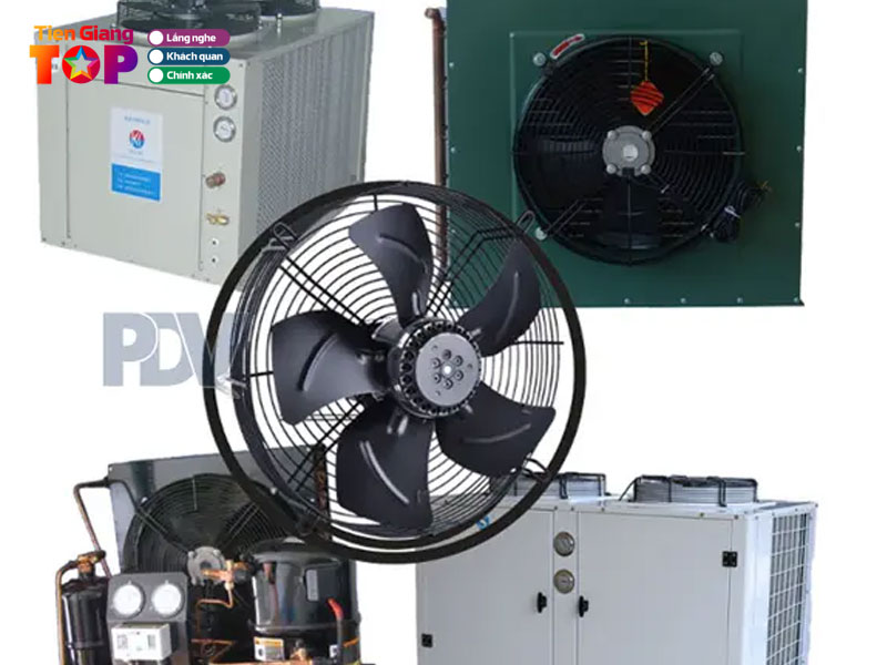 Quat-phu-dat-vuong-tiengiangtoplist