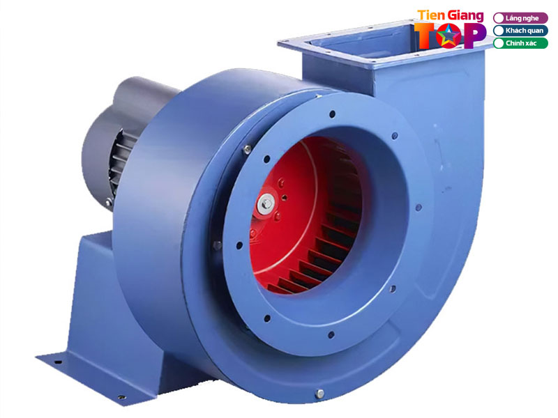 Cong-ty-tnhh-bhf-1-tiengiangtoplist