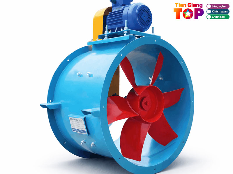 Cong-ty-tnhh-bhf-1-tiengiangtoplist