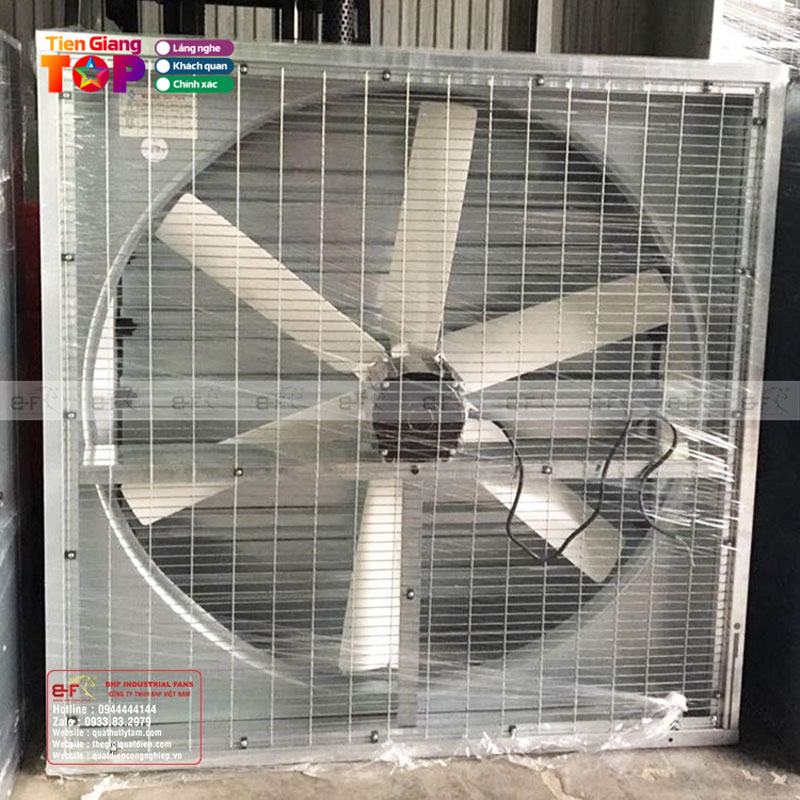 Cong-ty-tnhh-bhf-tiengiangtoplist