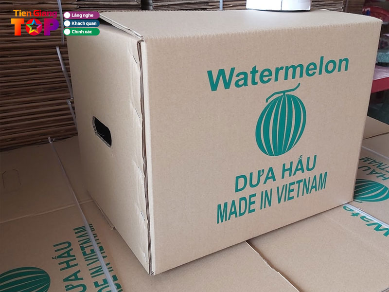 Cong-ty-tnhh-bao-bi-giay-tam-anh-tiengiangtoplist