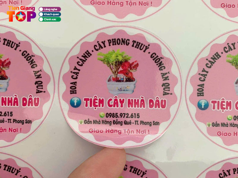 In-hoa-mai-tiengiangtoplist