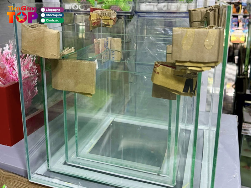 Ca-canh-nhat-toan-tiengiangtoplist