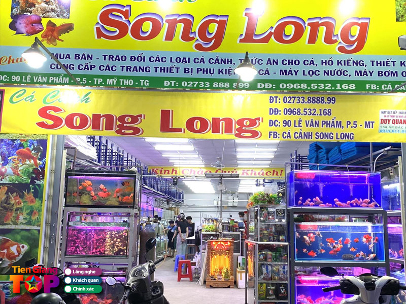 Ca-canh-song-long-tiengiangtoplist