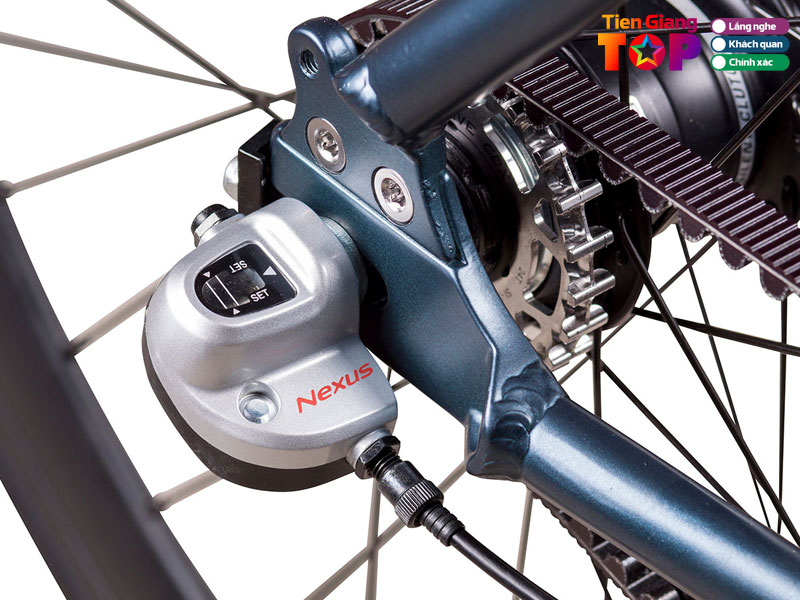 Tieu-chi-lua-chon-noi-ban-phu-tung-xe-dap-tiengiangtoplist